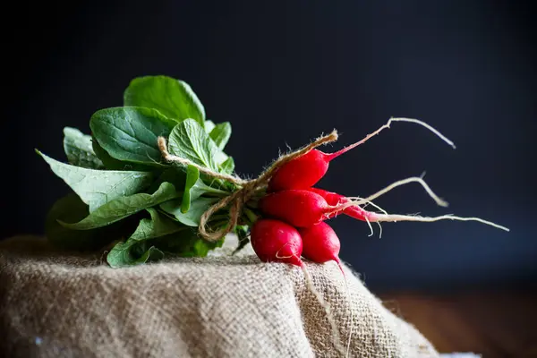 Mogna röda rädisor med bladverk — Stockfoto