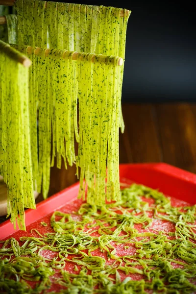 Fideos caseros verdes con verduras —  Fotos de Stock