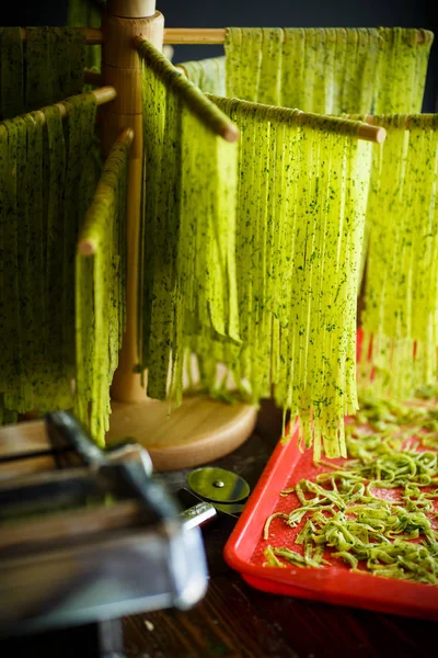 Fideos caseros verdes con verduras —  Fotos de Stock