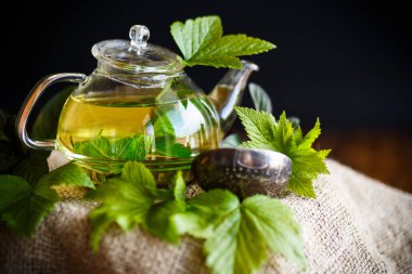 Çay üzümü yaprakları ile