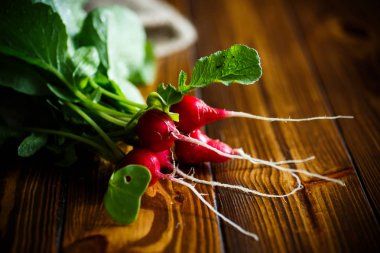 Olgun grup kırmızı turp