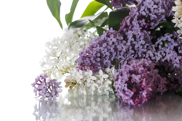 Bouquet of lilac — Stock Photo, Image