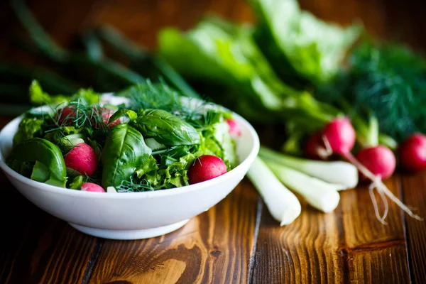 Tavaszi saláta korai zöldség, saláta levelek, retek- és fűszernövények — Stock Fotó