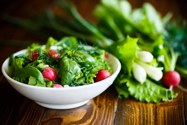 Salada de primavera de legumes primitivos, folhas de alface, rabanetes e ervas — Fotografia de Stock