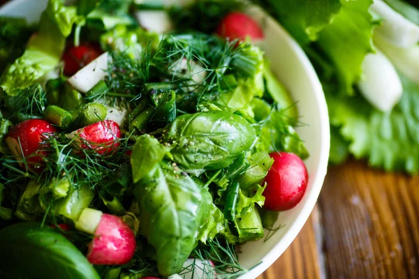 Tavaszi saláta korai zöldség, saláta levelek, retek- és fűszernövények — Stock Fotó