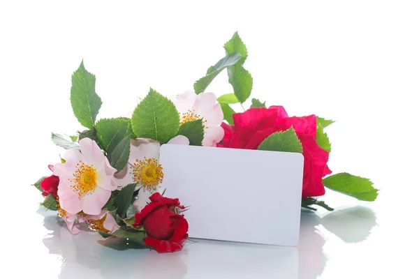 Bouquet of wild and red rose — Stock Photo, Image