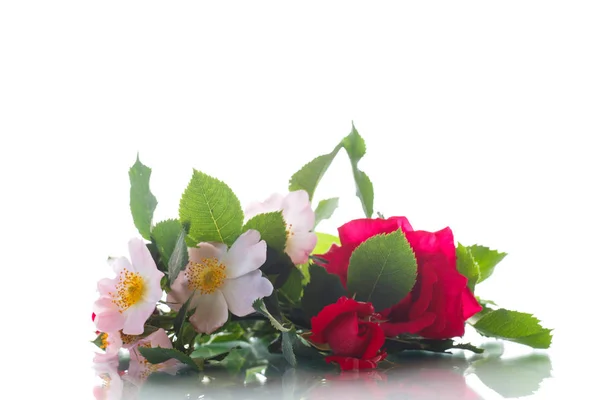 Strauß wilder und roter Rosen — Stockfoto
