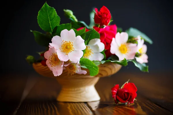 Bouquet di rosa selvatica e rossa — Foto Stock