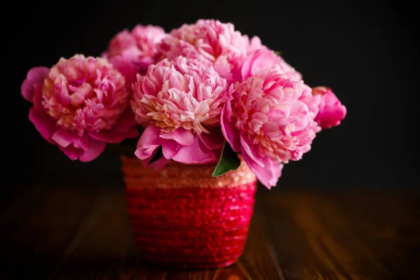 Ramo de peonías rosadas en un jarrón de mimbre —  Fotos de Stock