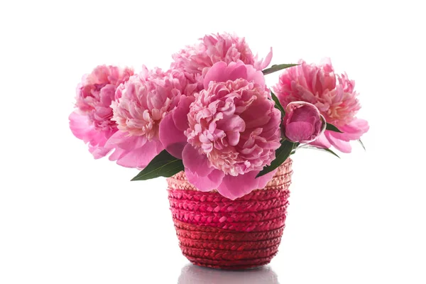고리 버들 세공 꽃병에 분홍색 모란의 꽃다발 — 스톡 사진