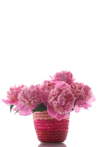 Ramo de peonías rosadas en un jarrón de mimbre — Foto de Stock