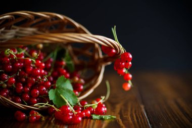 Sepette olgun kırmızı frenk üzümü