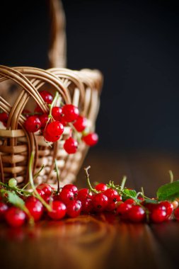 Sepette olgun kırmızı frenk üzümü