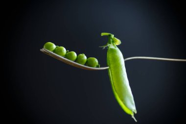 Taze erken yeşil bezelye