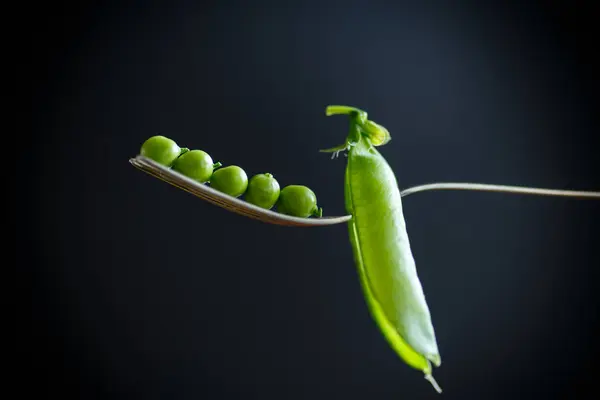Fresh early green peas — Stock Photo, Image