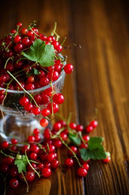 Cam vazoda olgun kırmızı kuş üzümü
