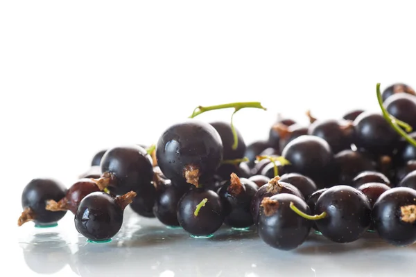 Berry ripe black currant — Stock Photo, Image