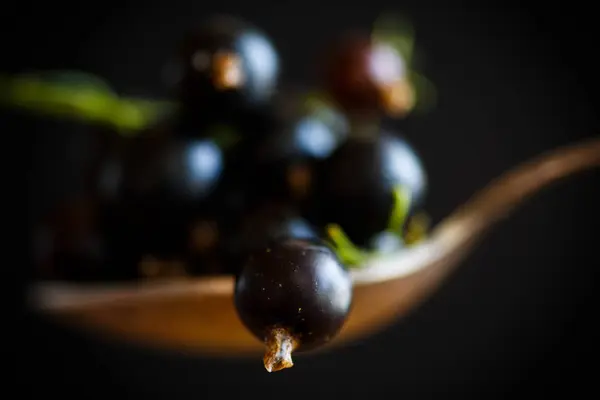 Groselha preta madura de bagas — Fotografia de Stock