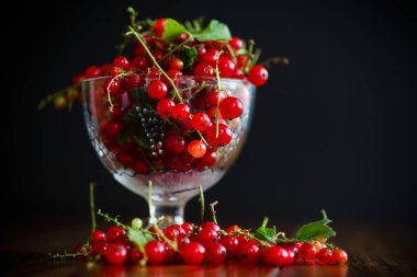 Cam vazoda olgun kırmızı kuş üzümü