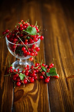 Cam vazoda olgun kırmızı kuş üzümü
