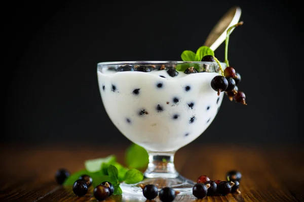 Söta grekisk yoghurt med svarta vinbär bär — Stockfoto
