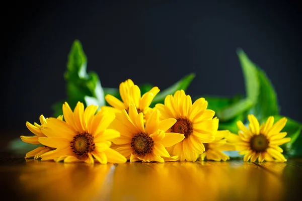 Bouquet of yellow daisies — Stock Photo, Image