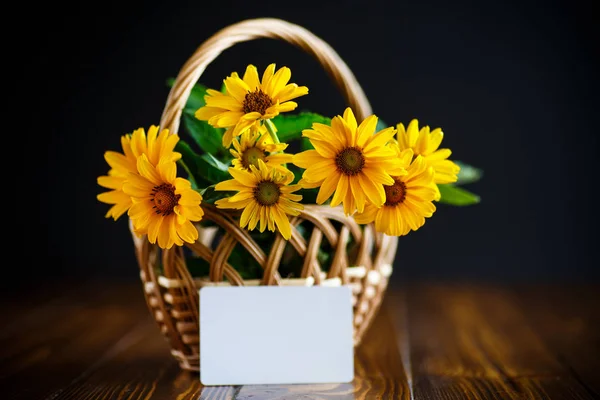 Strauß gelber Gänseblümchen — Stockfoto