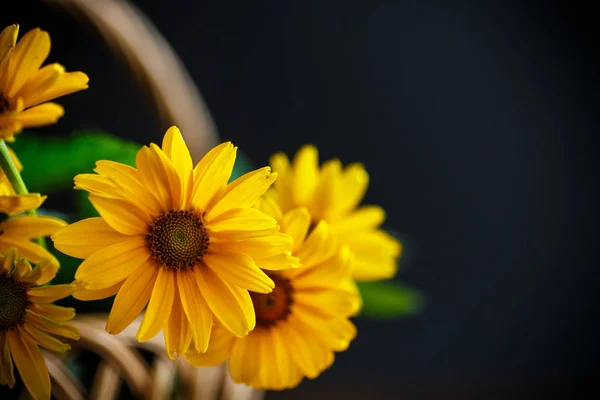 Bouquet of yellow daisies — Stock Photo, Image