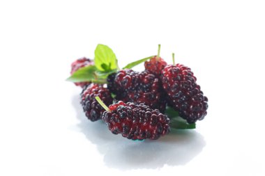Karadut olgun berry