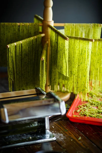 Tagliatelle fatte in casa verde con verdure — Foto Stock