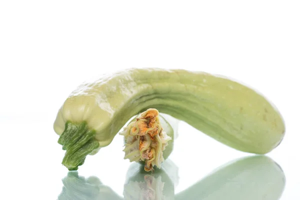 2 익은 녹색 호박 — 스톡 사진