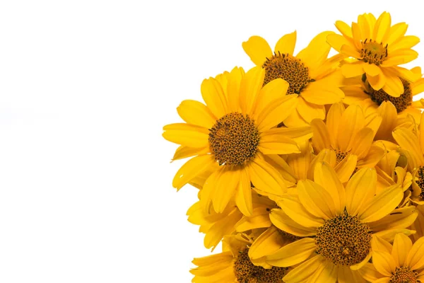 黄色のヒナギクの花束 — ストック写真