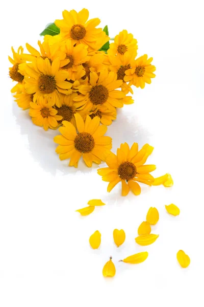 黄色的雏菊的花束 — 图库照片