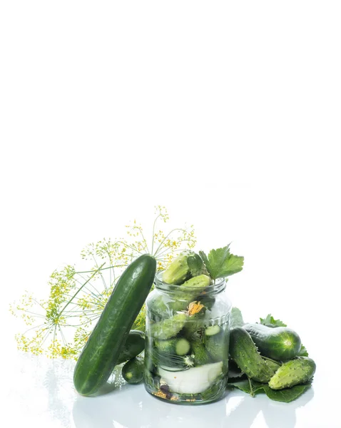 Pickled cucumbers with herbs and spices — Stock Photo, Image