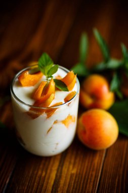 Yunan Yoğurtlu tatlı kayısı