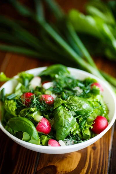 Vårsalat av tidlige grønnsaker, salatblader, reddiker og urter – stockfoto