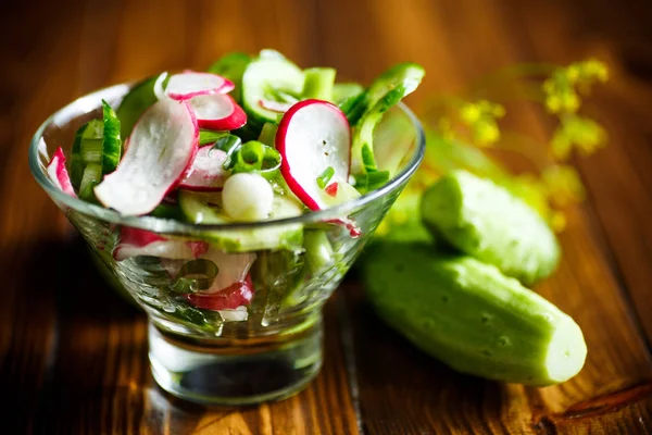 Salada fresca com pepino e rabanete — Fotografia de Stock