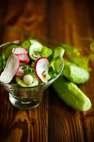 Ensalada fresca con pepino y rábano — Foto de Stock