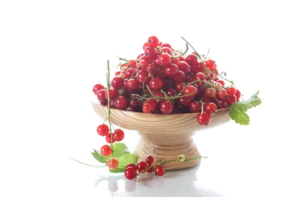 Ripe red currant in a wooden vase — Stock Photo, Image