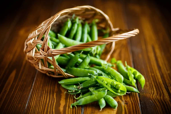 Fresh early green peas in a basket — Stock Photo, Image