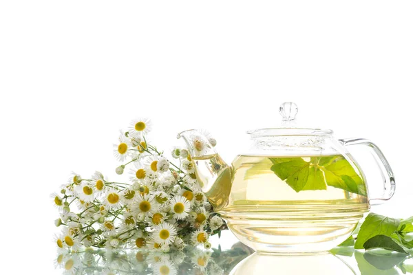 Glass teapot with chamomile tea — Stock Photo, Image