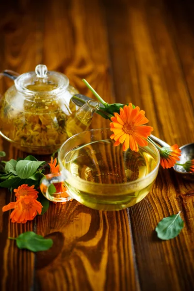 Therapeutische thee uit bloemen van calendula — Stockfoto