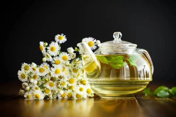 Teiera di vetro con tè alla camomilla — Foto Stock