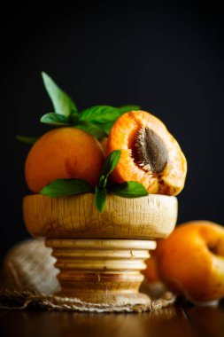 Taze tatlı kayısı