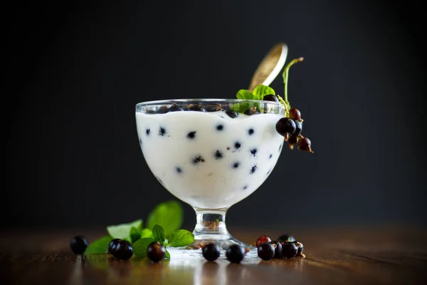 Süßer griechischer Joghurt mit schwarzen Johannisbeeren — Stockfoto