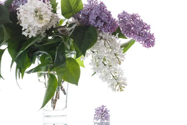 Bouquet of lilac — Stock Photo, Image