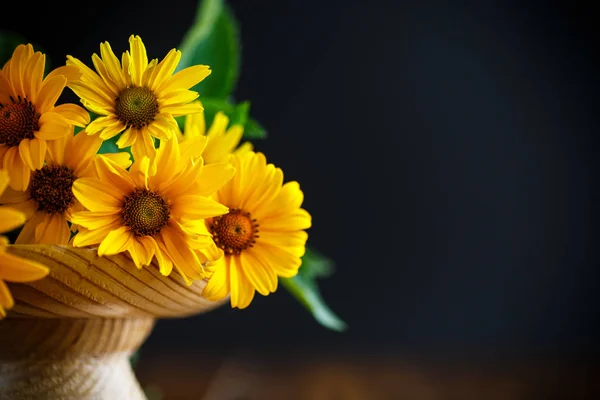 Bouquet of yellow daisies — Stock Photo, Image