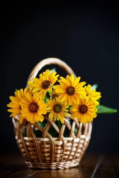 Strauß gelber Gänseblümchen — Stockfoto