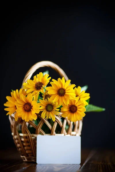 Bouquet di margherite gialle — Foto Stock