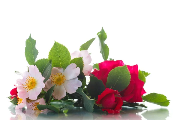 Bouquet di rosa selvatica e rossa — Foto Stock